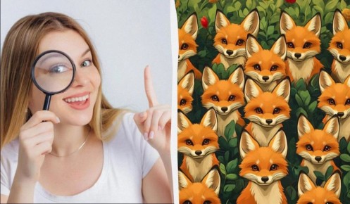 ����� ����� ��� ������������: ������� ������ ����� ����� �� 5 ������