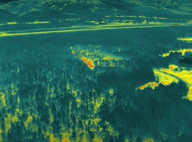 ������������� ������������ ������� ������� �� �������� � ����� ��������� � ����������� �������