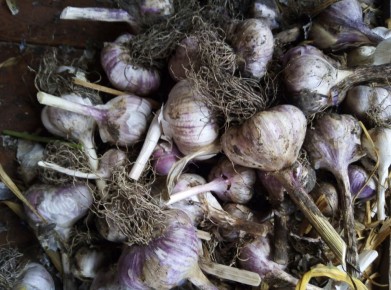 ������� ������� �������: ����� �� ���������?