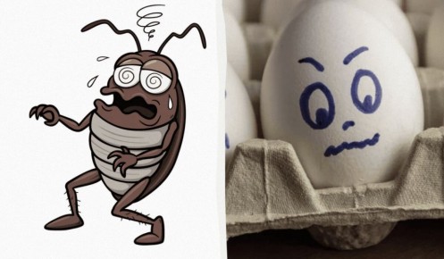 ��� �������� ������������ � ������� ����������: ����������� ������ ������