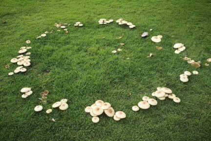 ����� �� ������: ��� ������� ����������������� ������� ��� �� �����