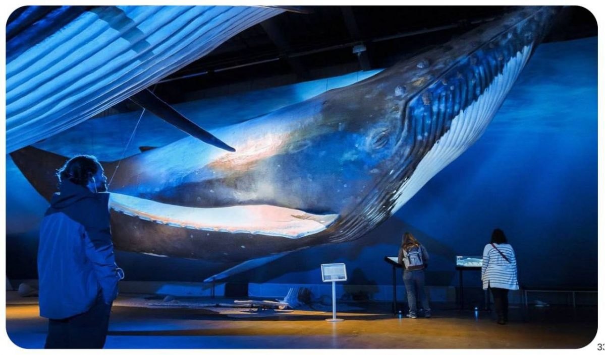 Проект нового масштабного музея прошел экспертизу в Магадане