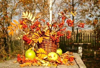 ������� ������� ����� ��� ������ �������: �������� �������