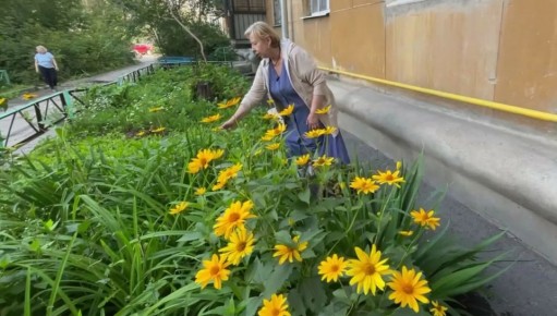 Как легально оформить участок под окнами: советы для дачников