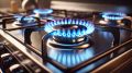 Новые правила техобслуживания газа: что нужно знать владельцам жилья