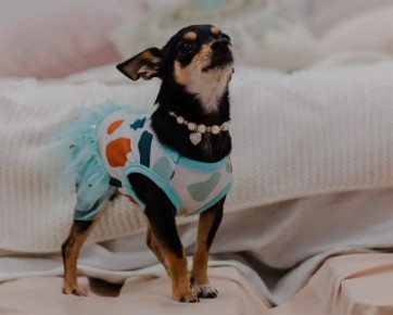 ���������� ���������� �� ������������ ����� � ������ �����������