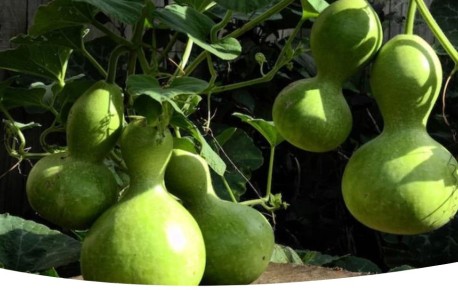 ���������: ������� ��������� ����������� ���������� �����