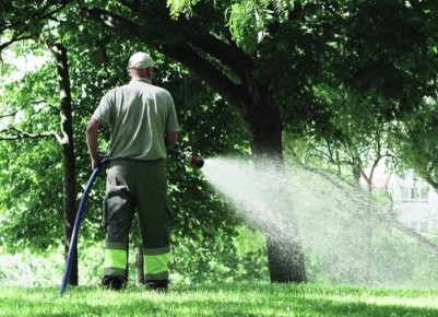 ����������� ����� ��� �������� �������� ��������: ������ � ������������