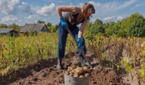 ��� ��������� �������� ���������: ������ ������ ��� �����������