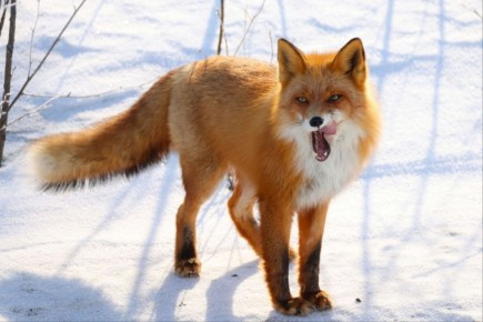 � �������, 26 �����, � ����������� ������� ��������������� �������