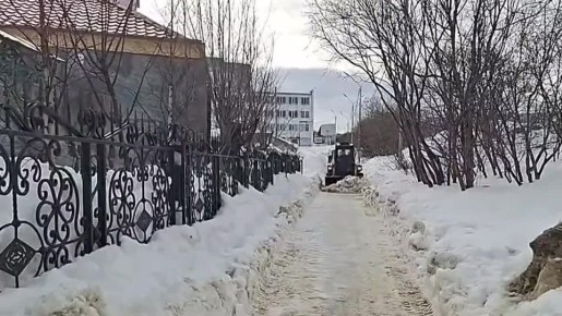 Лариса Поликанова: Сегодня на уборку города вышли бригады КЗХ, ГЭЛУДа, ДЖКХ, подрядных организаций и управляющих компаний