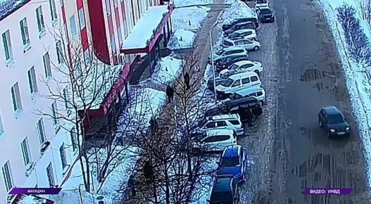 В Магадане мужчина украл сумочку у женщины, притворившись, что оказывает ей помощь