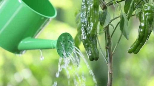 ��� ��������� �������� ����� � ������� ��� ��������� ������