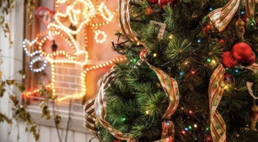 Новый гастрономический фестиваль в Москве: насладитесь вкусом Нового года