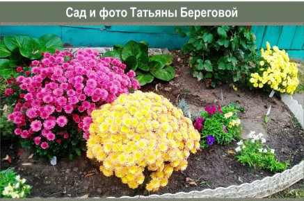 ��� ��������� ����������: ������ ���������� �������