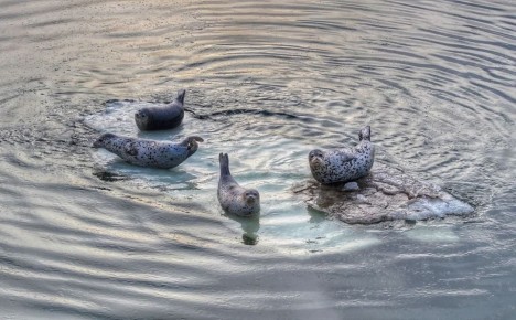 � �����������, 30 �����, � ����������� ������� ��������������� �������