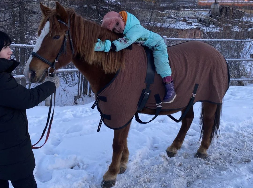 В Магадане разрабатывают проект реабилитации участников СВО методами иппотерапии В Магадане разрабатывают проект реабилитации участников СВО методами иппотерапии