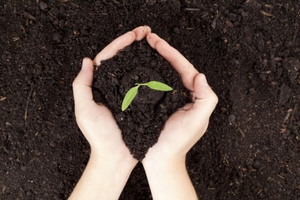 ��� �������� ���������� �����: ����������� ������������ ������