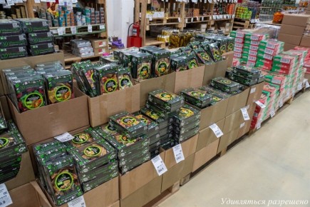 ������� ��������: ������� VitaminOS �� �������� ��������