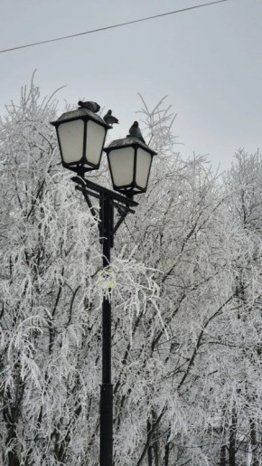 Во вторник, 31 марта, в Магаданской области преимущественно облачно