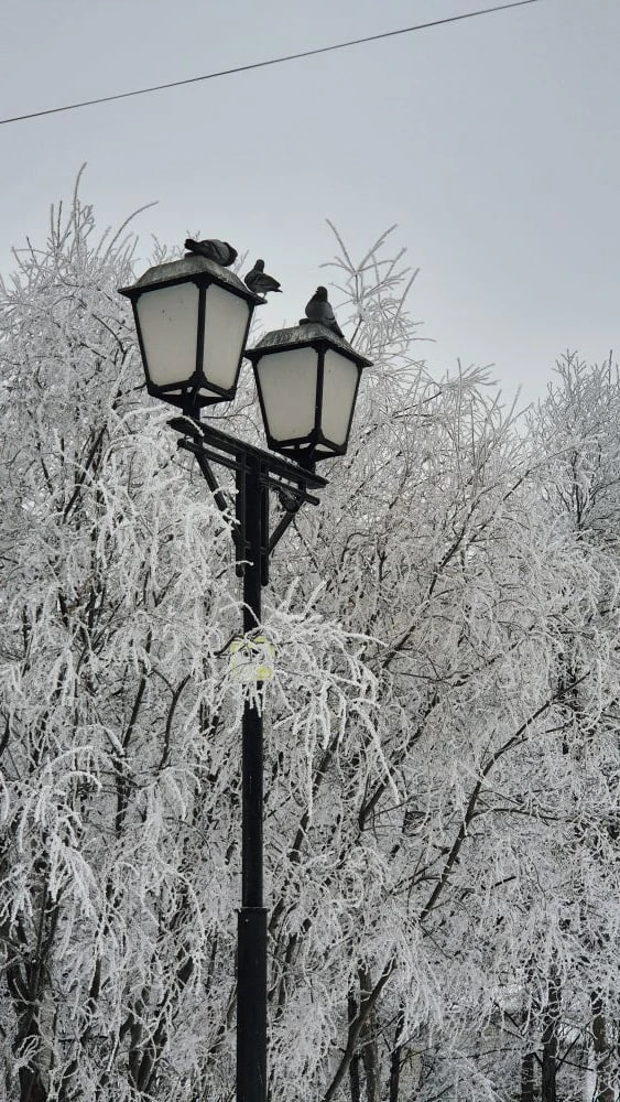 Во вторник, 31 марта, в Магаданской области преимущественно облачно