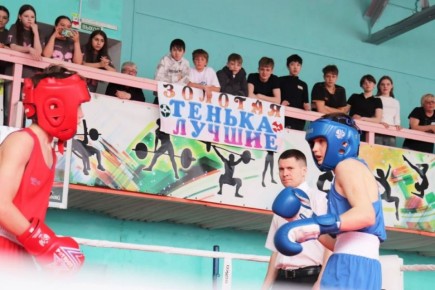 Больше ста колымских боксеров сразились за Золотую перчатку Теньки - 2026