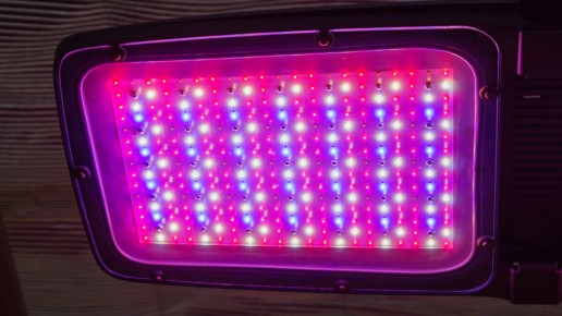 ��� ������� ����� ��� �������: �� ����������� ������������� �� ������