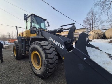 ���� ������ �������� ����������� ����������� ���������