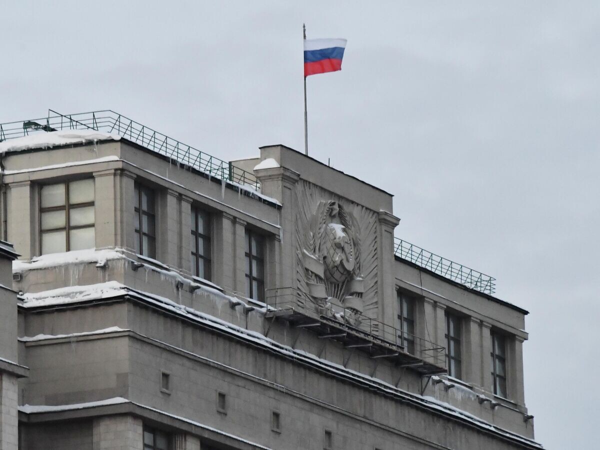 Госдума займется защитой россиян, арестованных за границей