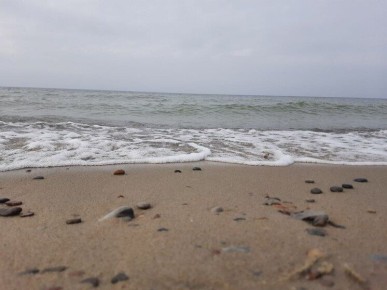 На Курилах поймали тунца стоимостью свыше миллиона долларов