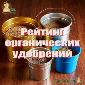 Как выбрать органическое удобрение для процветающего урожая