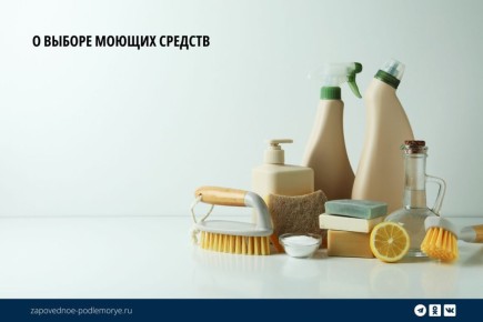 Как моющие средства угрожают уникальной экосистеме Байкала