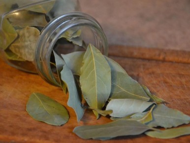 ����: ���������� � ����� ���� � ���������� �����������