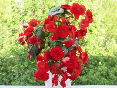 �������, ������� ������ ��������� � ����� �� �������