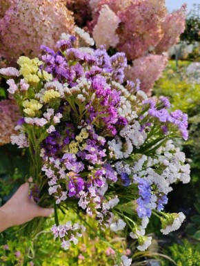 �������� �����������: ���� ����� �������!