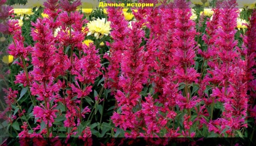 15 ����������� ������, ������� �������� ��� � ������ ��� �����