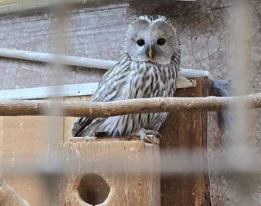 ���������� � ����� ���� ������ �� ������ � ������� ���