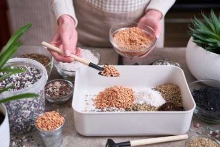 10 лучших способов обогатить грунт для здоровья ваших комнатных растений