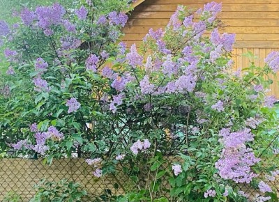 ������ � ������ ����: ��� ������� ��������� ������ �����