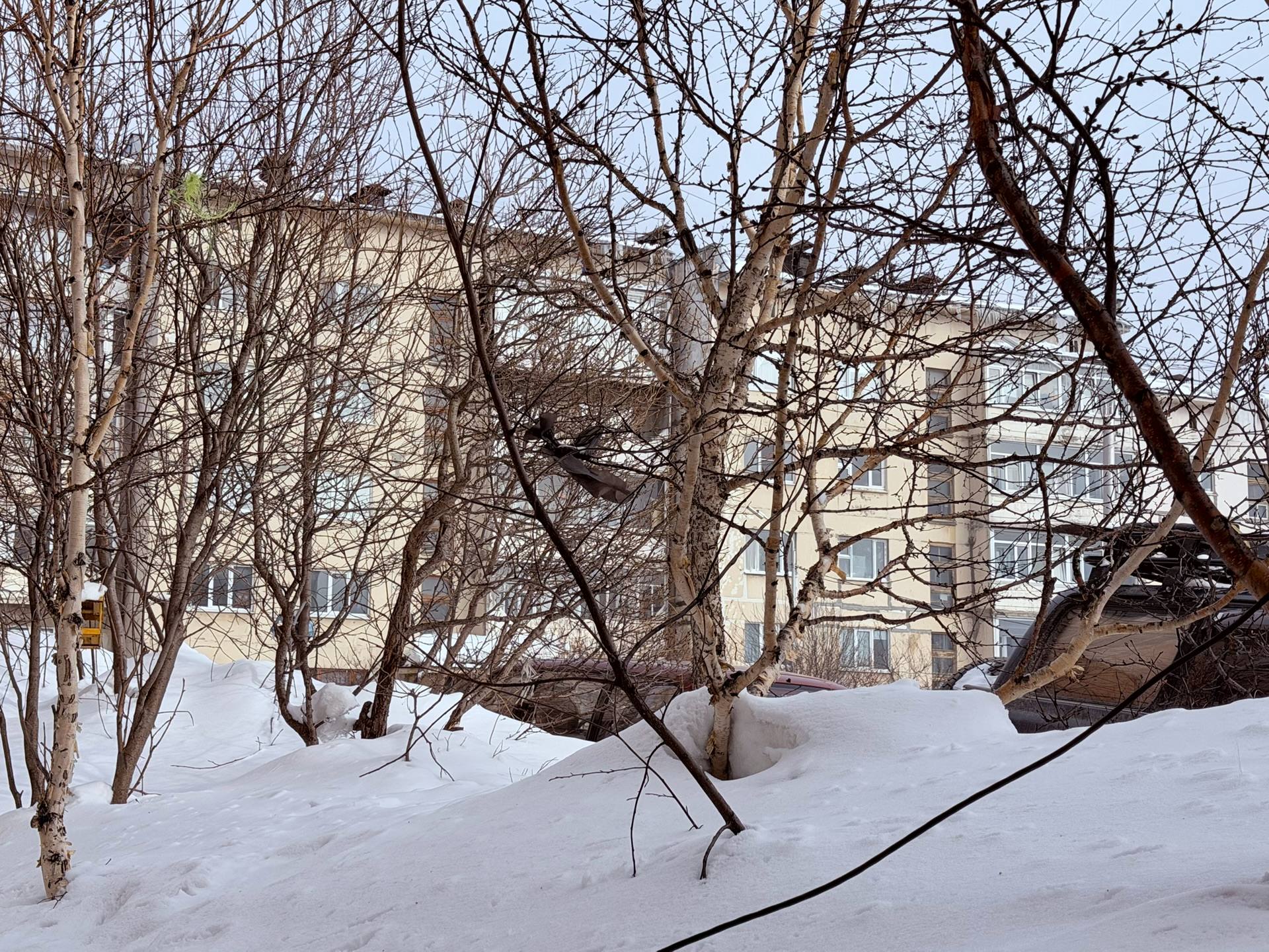 По результатам встречи председателя Магаданской городской Думы, депутата партии «Единая Россия» Сергея Смирнова с жителями микрорайона Нагаево на базе 21-й школы наиболее острая проблема выявлена у дома № 25/21 по улице... По результатам встречи председателя Магаданской городской Думы, депутата партии «Единая Россия» Сергея Смирнова с жителями микрорайона Нагаево на базе 21-й школы наиболее острая проблема выявлена у дома № 25/21 по улице...