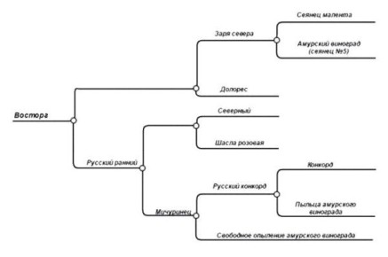 �������� �������: ����������� �������������, ������� ��������� ������ ���������