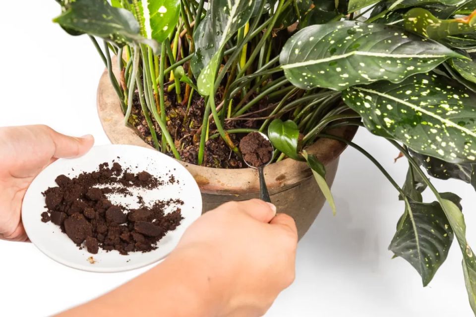 ���������� ������������� ����� ��������� ��������: ��� ������������� ��������