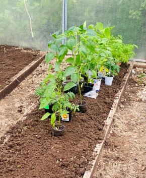 ��� ���������� ������� ������� � ��������� ������: ������� ���������� ������� � �������