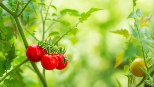 10 ������, ������� ����� ������ ��� �����: ��� ���������� �� ��������� ������ �������