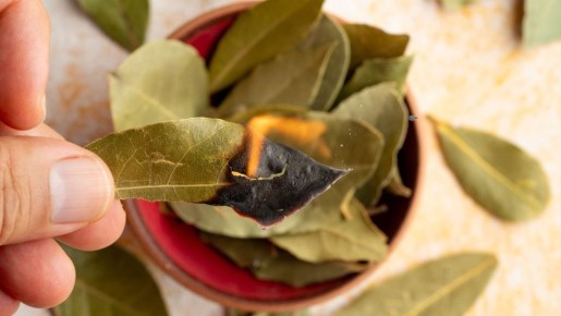 �������� ����: ������� ������ ����������������� � ���� � ����� ����