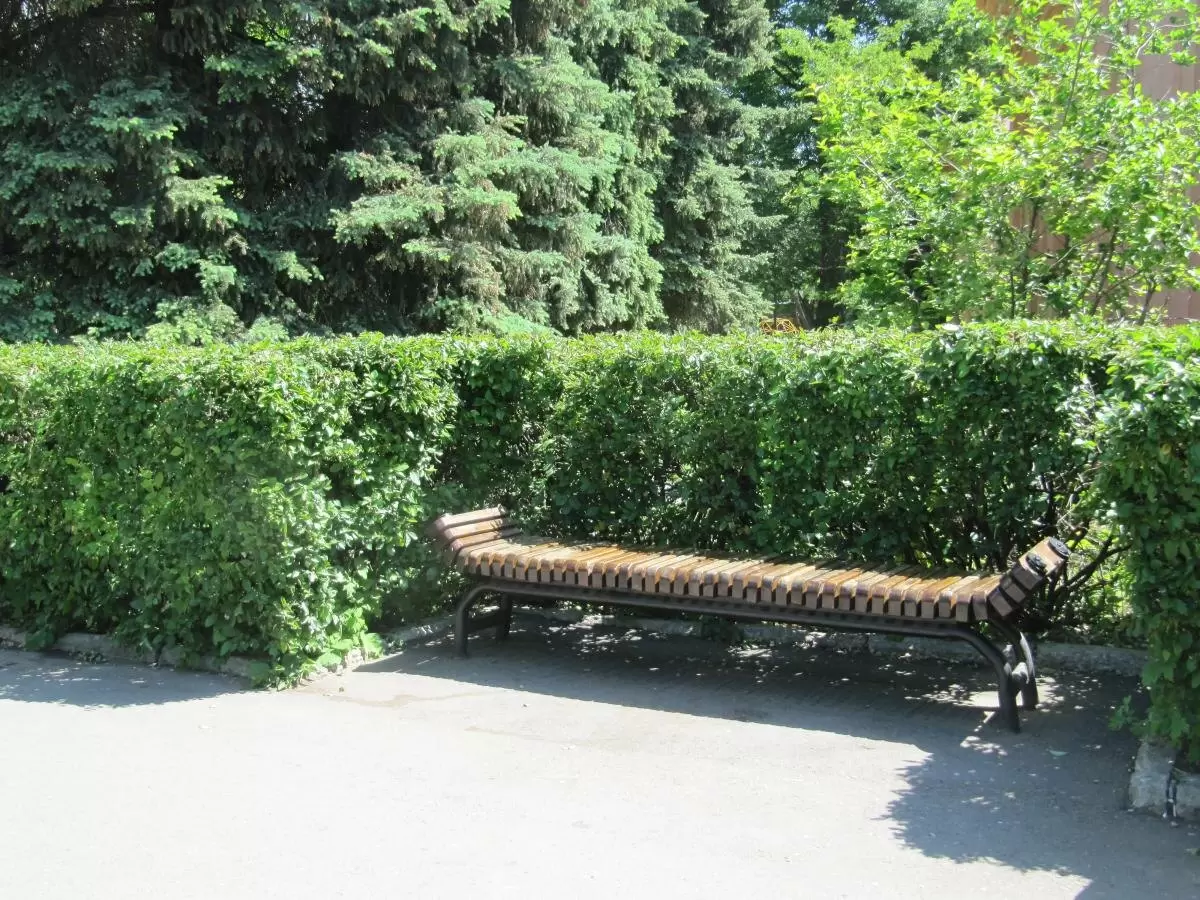 Секреты успешного сада: растения, которые заботятся сами о себе