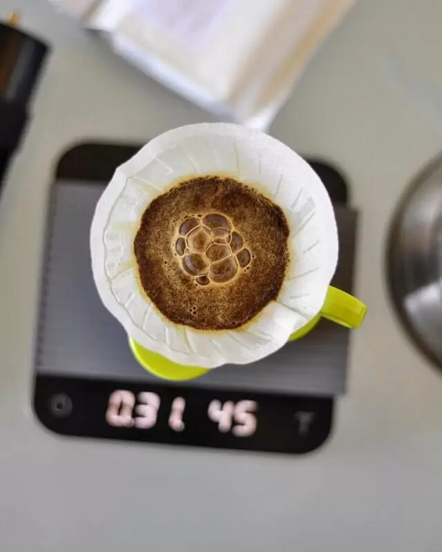 Крепкий кофе: мифы и реальность экстракции