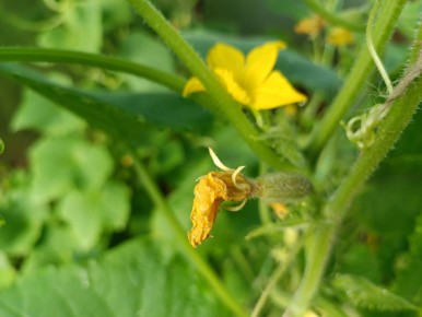 ������� ������ � �������? ���� ��������� ����!