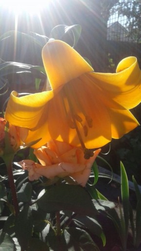 ������� ���� �� ��������� ��������� ����