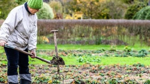 ������� ��������� �������: ������� ������, ������� �������� ������ �� 25%